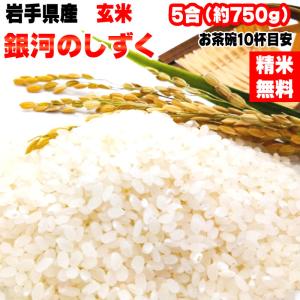 ポイント消化 米 お米 送料無料 銀河のしずく 750g (5合) 令和4年産 岩手県産 白米 無洗...