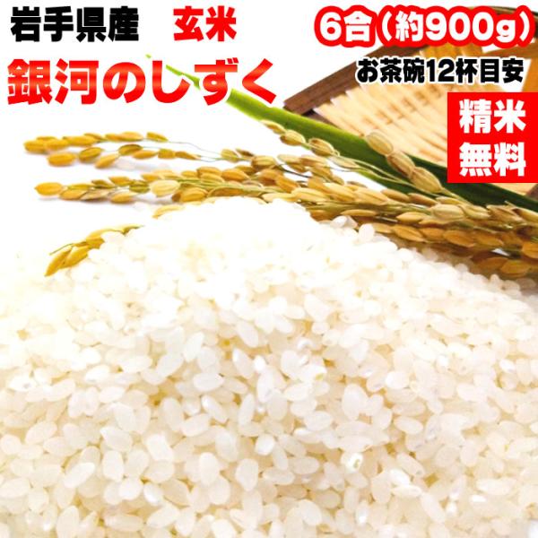 ポイント消化 米 お米 送料無料 銀河のしずく 900g (6合) 令和4年産 岩手県産 白米 無洗...