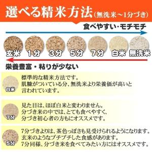 米 お米 10kg×2 銀河のしずく 玄米20...の詳細画像5