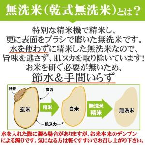 米 玄米 10kg ひとめぼれ 5kg×2袋 ...の詳細画像3