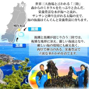 茎わかめ 800g (400g×2袋) 宮城県...の詳細画像1