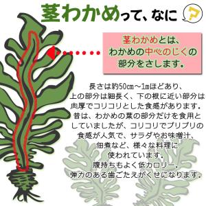茎わかめ 800g (400g×2袋) 宮城県...の詳細画像2
