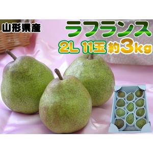 大玉2L・11玉・約3kg 山形県産洋梨 洋ナシの女王ラフランス 送料無料 [ラフランス２Ｌ３キロ]