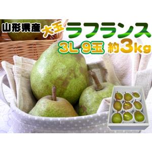 大玉3L・9玉・約3kg 山形県産洋梨 洋ナシの女王ラフランス 送料無料 [ラフランス３Ｌ３キロ]