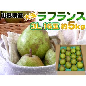 ラフランス 3L16玉約5kg 山形県産 贈答 洋ナシの女王 ポイント5倍 送料無料 [ラフランス３Ｌ５キロ]