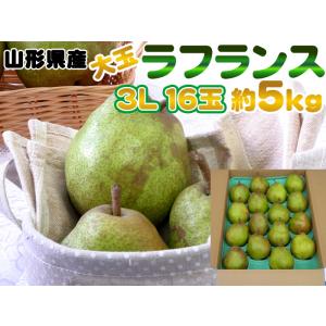 大玉3L・16玉・約5kg 山形県産洋梨 洋ナシの女王ラフランス 送料無料 [ラフランス３Ｌ5キロ]