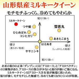 米 お米 ミルキークイーン 玄米5kg 令和7...の詳細画像4