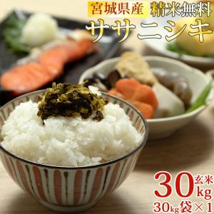 備蓄米 古古古米 令和3年産 複数原料米 白米精米 30kg(30kg×1袋) 随意