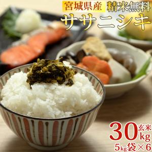 ササニシキ 米 お米 玄米5kg 令和7年産 宮城県産 白米・無洗米・分づき