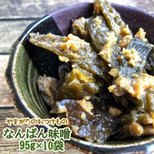 山形の漬物 辛い なんばん漬 なんばん味噌 [なんばん味噌95g×10袋] 送料無料 ギフト 即送｜miuranouen