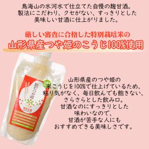 甘酒 糀甘酒 無添加 3L(300ml×10)...の詳細画像1