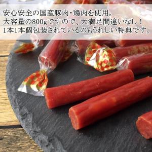 カルパス 辛い お徳用 おつまみ 業務用 メー...の詳細画像1