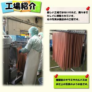 カルパス 辛い お徳用 おつまみ 業務用 メー...の詳細画像4