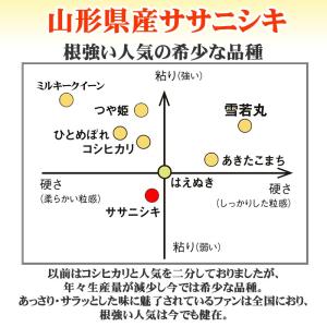新米 米 お米 5kg×4 ササニシキ 玄米2...の詳細画像4