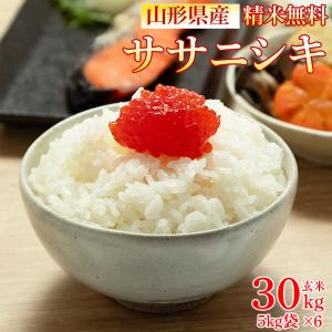 ササニシキ 新米 米 お米 玄米30kg 令和7年産 山形産 白米・無洗米・分