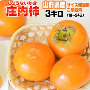 予約販売 10月下旬〜11月下旬頃発送予定 庄内柿 種なし 訳あり 送料無料 山形県庄内産 無選別 3kg 18-24玉入り [庄内柿３キロ]