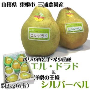 西洋梨 香りの貴公子 エルドラド、洋梨の王様シルバーベルのセット 山形県産東根市産 ポイント10倍 [エルドラド・シルバーベル３キロ]