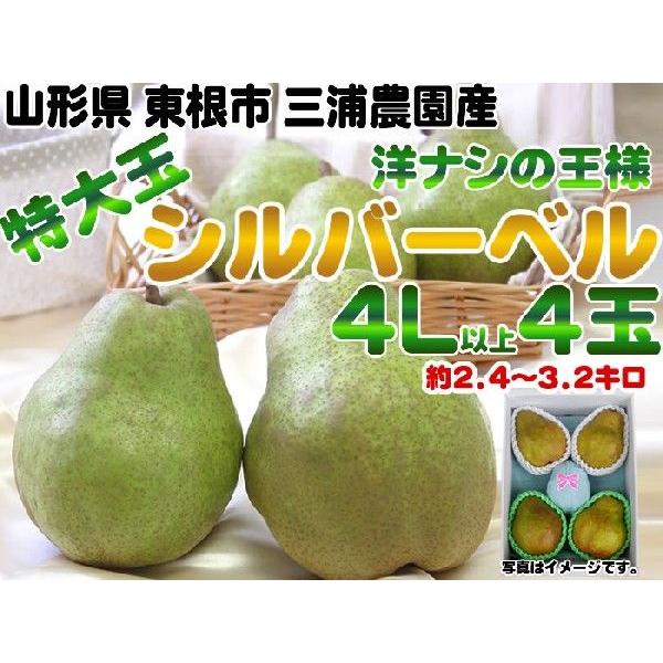 お歳暮 送料無料 超特大玉4Lサイズ以上・4〜5玉・約3kg 山形県産 洋ナシの王様シルバーベル [...
