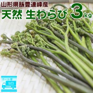 予約販売 わらび (生) 3kg (1kg×3束) 天然 山形県産 飯豊連峰 朝採り 山菜 産地直送 送料無料 飯豊町 クール便 5月中旬〜下旬に順次発送｜miuranouen