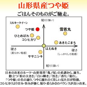 米 つや姫 米 お米 玄米5kg 令和7年産 ...の詳細画像3