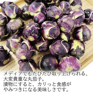 生丸茄子 生1kg なす 薄皮丸茄子 梵天丸茄...の詳細画像2