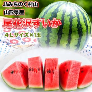 尾花沢すいか 超大玉 4L スイカ 西瓜 果物 フルーツ 山形県産 送料無料 予約販売 7月下旬〜8月上旬順次発送 [尾花沢すいか ４Ｌ １玉 ＪＡみちのく村山]｜miuranouen