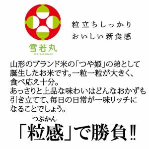 米 お米 雪若丸 300g (2合) ゆきわか...の詳細画像3