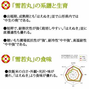 米 お米 雪若丸 300g (2合) ゆきわか...の詳細画像5