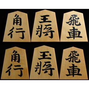 将棋駒 プラスチック 王将 : 三輪碁盤店 - 通販 - Yahoo!ショッピング