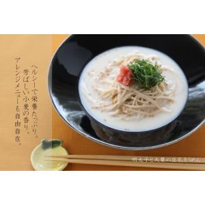 全粒粉そうめん5束入の詳細画像2