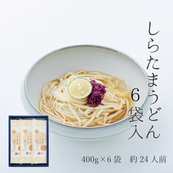 勇製麺　しらたまうどん6袋　うどん　手延べうどん