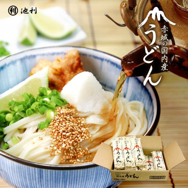 うどん 赤城の国内産うどん 270g×20袋 取り寄せ 送料無料 北海道産小麦100%使用 爆買