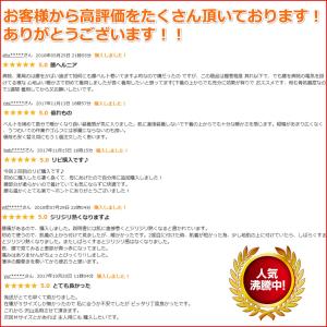 腰痛ベルト コルセット サポーター 温め 自己...の詳細画像2