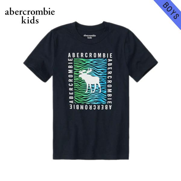 アバクロキッズ Tシャツ ボーイズ 子供服 正規品 AbercrombieKids 半袖Tシャツ ク...