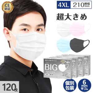 【20％増量】マスク 超大きめ 超ビッグサイズマスク 不織布マスク 210mm120枚 個別包装 平ゴム耳痛くならない 3層構造 使い捨てマスク 大人用カラーマスク