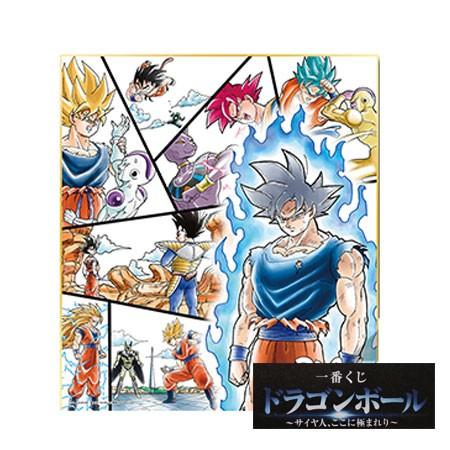 一番くじ ドラゴンボール サイヤ人、ここに極まれり ラストワン賞 色紙  バトルヒストリー アニメ ...