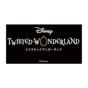送料無料 ディズニー ツイステッドワンダーラン...の詳細画像1