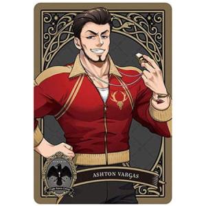 送料無料 ディズニー ツイステッドワンダーランド メタルカード