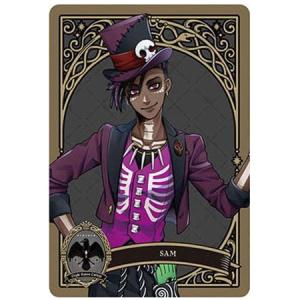 送料無料 ディズニー ツイステッドワンダーランド メタルカード