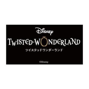 送料無料 ディズニー ツイステッドワンダーラン...の詳細画像1