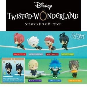 送料無料 ディズニー ツイステッドワンダーラン...の詳細画像1
