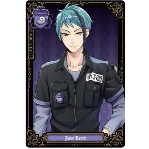 送料無料 ディズニー ツイステッドワンダーランド メタルカード