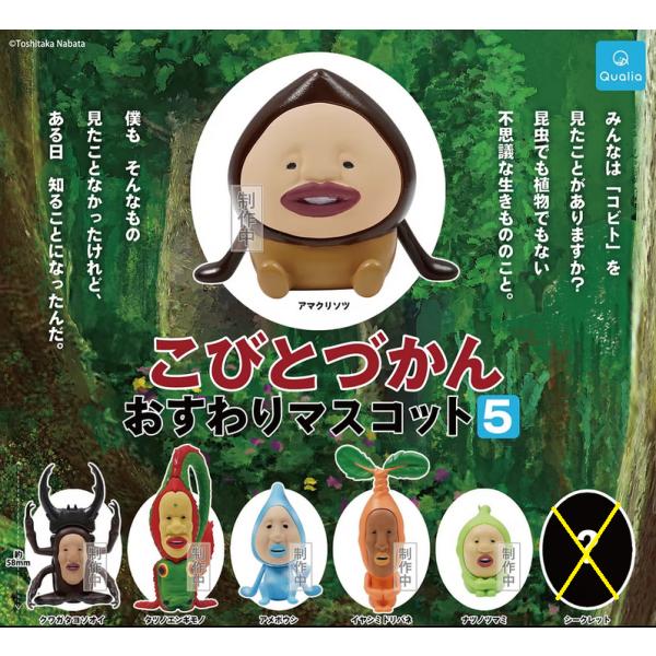 こびとづかん おすわりマスコット5 ノーマル6種セット クオリア