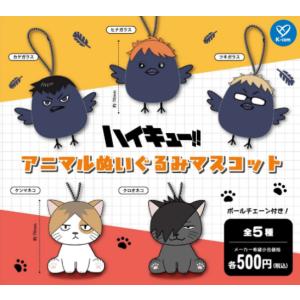 mixtoy_251230p2500s4hi