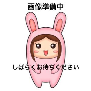 もちにゃみ ぷくっとラバーめじるしチャーム 全5種セット トイズスピリッツ