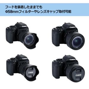 NinoLite EW-63C & E...の詳細画像4