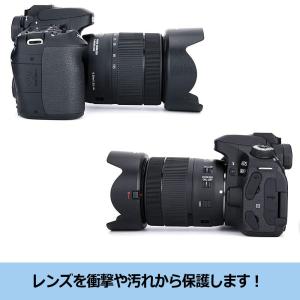 TKG』NinoLite 2個セット EW-7...の詳細画像5
