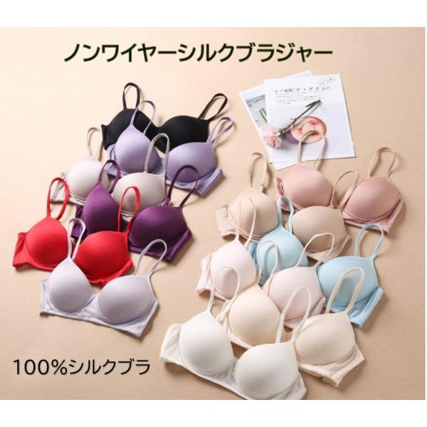 ノンワイヤーシルク１００％ブラジャー【%racoon_horizontal%】【%racoon_ve...