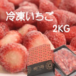【送料無料】熊本産 ブランド 冷凍イチゴ 2kg｜miyabi-brand
