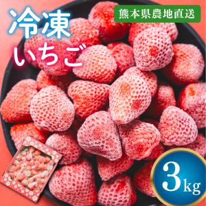 いちご 《 業務用 》 冷凍いちご 大きさ色々 14kg 栃木県産 イチゴ 苺